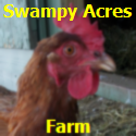 Swampy Acres Farm